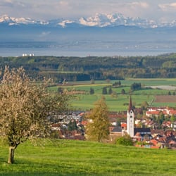 Tourist Info - Ferienlandschaft Gehrenberg-Bodensee