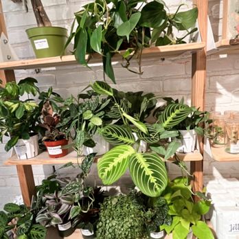 Nook Coffee Bar - Coffee & Tea Near Me - Costa Mesa, California Nook Coffee Bar - Coffee & Tea Near Me - Costa Mesa, California