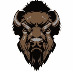 Bison Fence