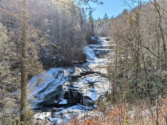 DuPont State Recreational Forest by null