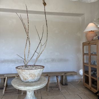 Olive & James Cafe - Melrose - Inside - Coffee & Tea Near Me - Los Angeles, California Olive & James Cafe - Melrose - Inside - Coffee & Tea Near Me - Los Angeles, California