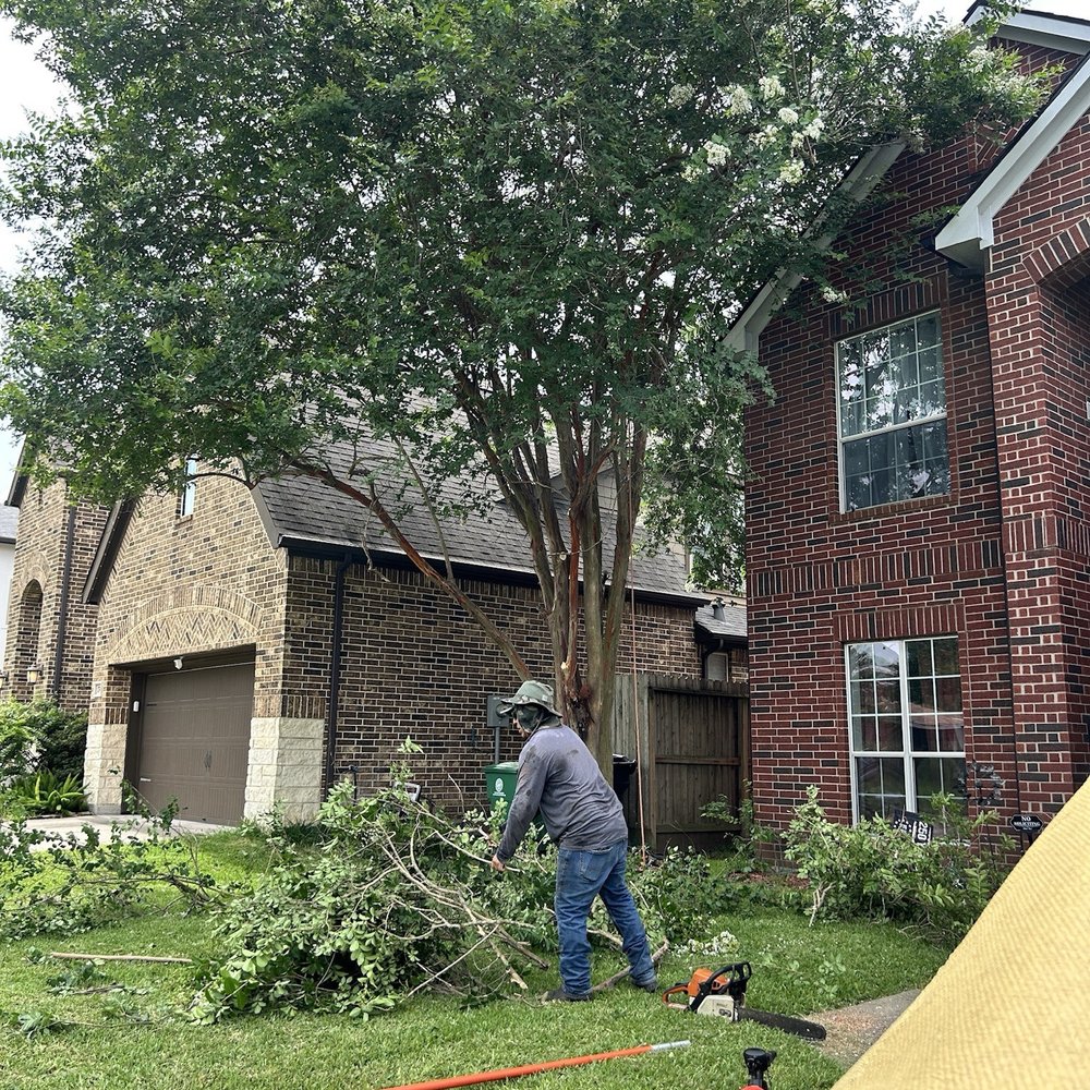 C.I.R Tree Service - Tree Services Near Me - Houston, Texas