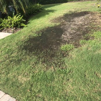 Rizzetta & Company - Property Management Near Me - Tampa, Florida