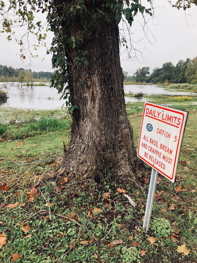 MAYA ANGELOU MEMORIAL PARK Updated October 2024 Mill Pond Rd
