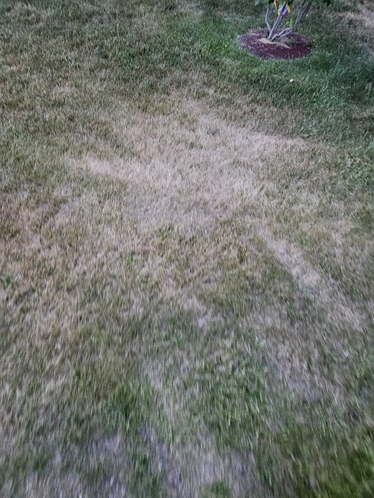 Living Water Lawn & Tree Care - tree service in Spokane, WA