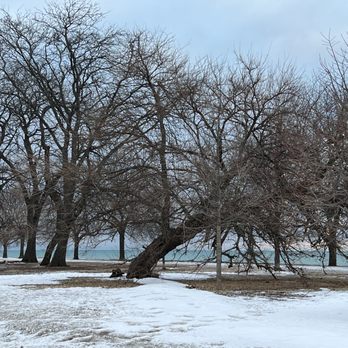Montrose Beach - Beaches Near Me - Chicago, Illinois