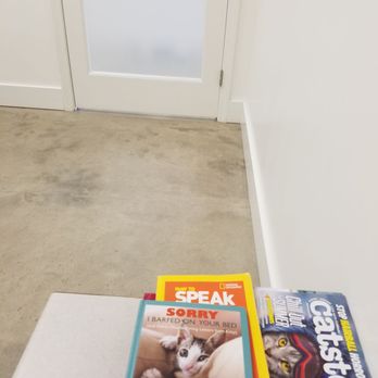 Holmes Feline Clinic - Reading materials while we wait for Dr. Holmes - Veterinarians Near Me - Birmingham, Alabama Holmes Feline Clinic - Reading materials while we wait for Dr. Holmes - Veterinarians Near Me - Birmingham, Alabama