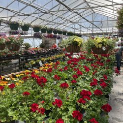Rolling Meadows Farms Garden Center And Plants