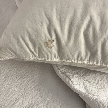 Hilton Garden Inn Mt. Laurel - Blood stained pillows - Hotels Near Me - Mount Laurel, New Jersey
