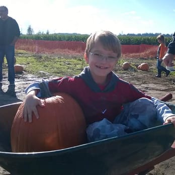 Remlinger Farms - Pumpkin picking! - Pumpkin Patches Near Me - Carnation, Washington Remlinger Farms - Pumpkin picking! - Pumpkin Patches Near Me - Carnation, Washington