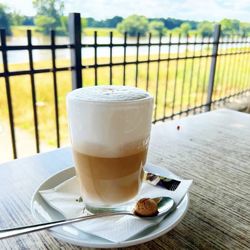 Elbterrasse Wachwitz - Foto: @disy_fliessi für @dresdner_restaurants (Instagram)