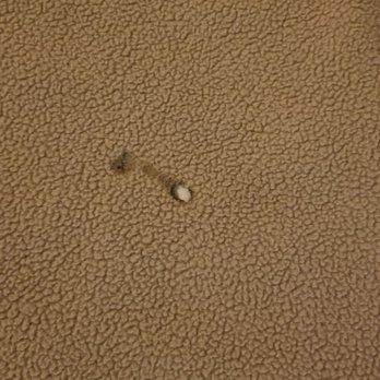 Motel 6 - Cigarette burns on sheets - Hotels Near Me - Mojave, California