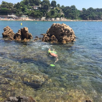 Le Bamboo - Beautiful, clear waters here! - Bistros Near Me - Carqueiranne, 83 Le Bamboo - Beautiful, clear waters here! - Bistros Near Me - Carqueiranne, 83