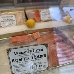 Andrade's Catch - Bay of fundy salon