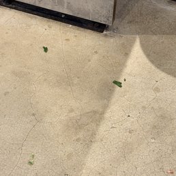 Food on the floor