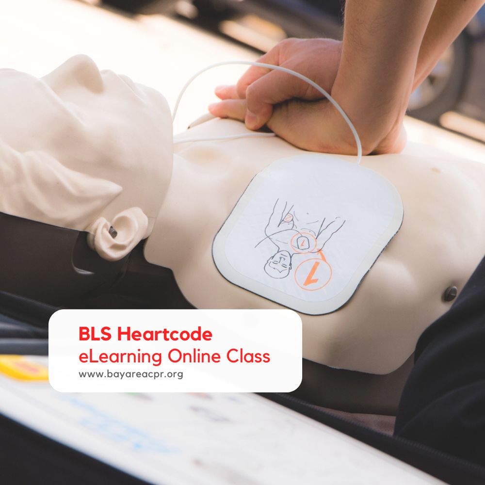 TOP 10 BEST Acls Class in Fremont, CA - Updated 2026 - Yelp