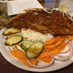 South Of The Seven - Red eyed snapper.