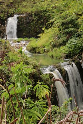 Pua'a Ka'a Falls by null