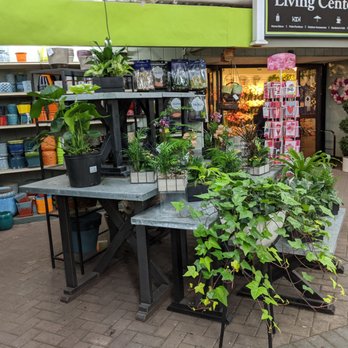 Hicks Nurseries - Nurseries & Gardening Near Me - Westbury, New York