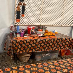 Bennett's Best Christmas Trees & Pumpkins - Carving / painting station