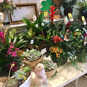 G Rossi Florist - Florists Near Me - Sacramento, California G Rossi Florist - Florists Near Me - Sacramento, California