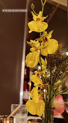 CVI.CHE 105 South Beach by null