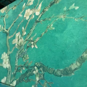 Beyond Van Gogh: the Immersive Experience - Cherry blossoms surround - Art Installation Near Me - Albuquerque, New Mexico
