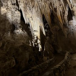 Carlsbad Caverns Trading