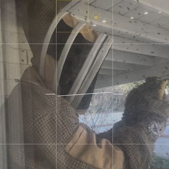 All 818 Bee Rescue - Gio in action - Pest Control Near Me - Granadahills, California