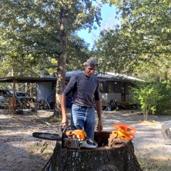 Dead or Alive Tree Service - Tree Services Near Me - Pineville, Louisiana Dead or Alive Tree Service - Tree Services Near Me - Pineville, Louisiana