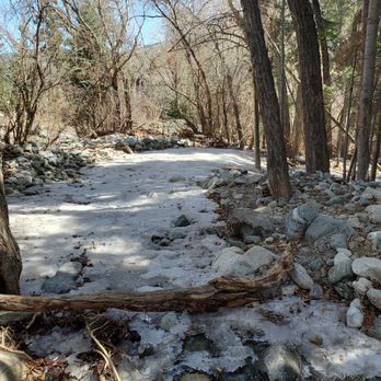 Zapata Falls - Hiking Near Me - Alamosa, Colorado