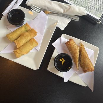 Wasabi's Fusion - Spring and Egg Rolls - Japanese Near Me - Pooler, Georgia