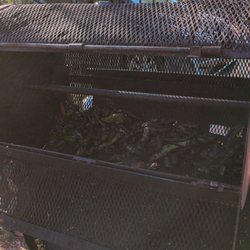 The Garcia Family Punk Rock Chile Stand - Fresh roasted