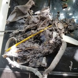 Mauricio's Appliances - This was in my filter, so those of you who have front loaders, please keep your filters cleaned. I definitely will be cleaning more often