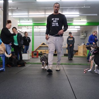 The Northwest Dog Trainer - Dog training group class - Pet Training Near Me - Seattle, Washington The Northwest Dog Trainer - Dog training group class - Pet Training Near Me - Seattle, Washington