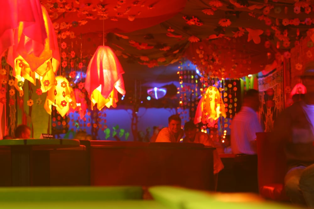 FLOWER POWER Bürgermeisterstr. 21, Lutherstadt Wittenberg, Sachsen