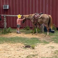 Rockn Rowdy Ranch - Morning Horseback Riders