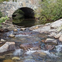 Around Tahoe Tours