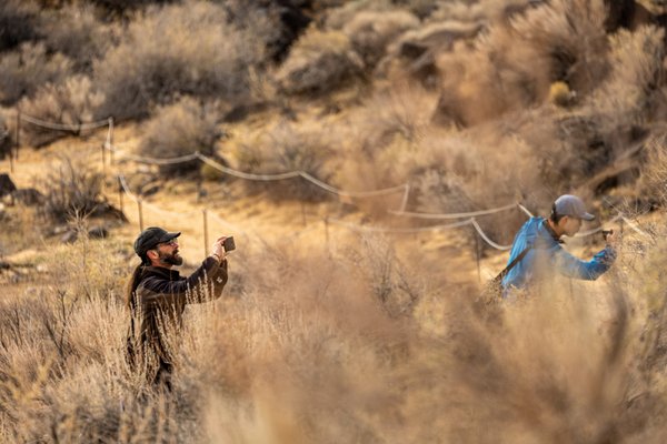 Petroglyph National Monument by null