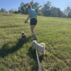 100 Acre Wood Preserve
