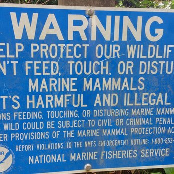Cape Arago State Park - Rules - Parks Near Me - Coos Bay, Oregon Cape Arago State Park - Rules - Parks Near Me - Coos Bay, Oregon