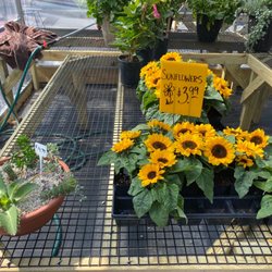 Brownie's Produce Market