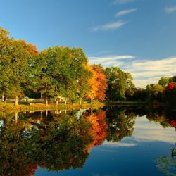 Mill Pond Park