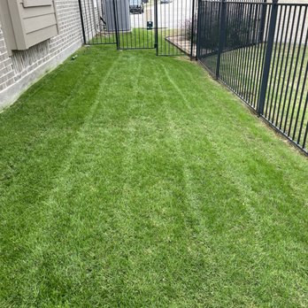 Verde Lawn DFW - a view of a fenced in yard - Lawn Services Near Me Verde Lawn DFW - a view of a fenced in yard - Lawn Services Near Me