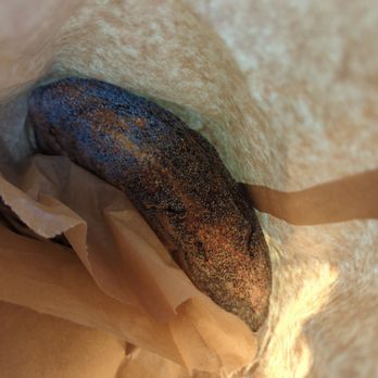 Brickmaiden Breads - Bread! They also have day old deals! - Bakeries Near Me - Point Reyes Station, California Brickmaiden Breads - Bread! They also have day old deals! - Bakeries Near Me - Point Reyes Station, California