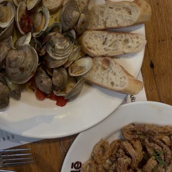 Ulele - Calamari and Clams - New American Near Me - Tampa, Florida Ulele - Calamari and Clams - New American Near Me - Tampa, Florida