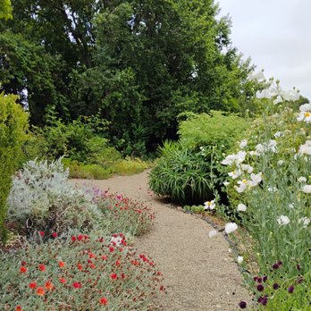 Blake Garden - Parks Near Me - Kensington, California