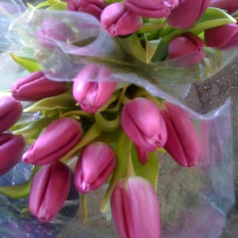 Fannin Flowers - Florists Near Me - Houston, Texas