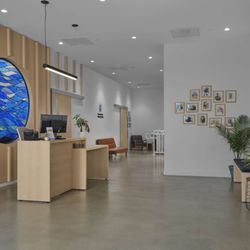Hancock Park Veterinary Clinic