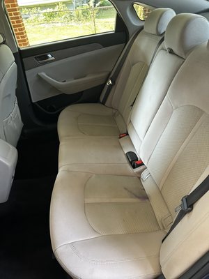 New Look Auto Detailing
